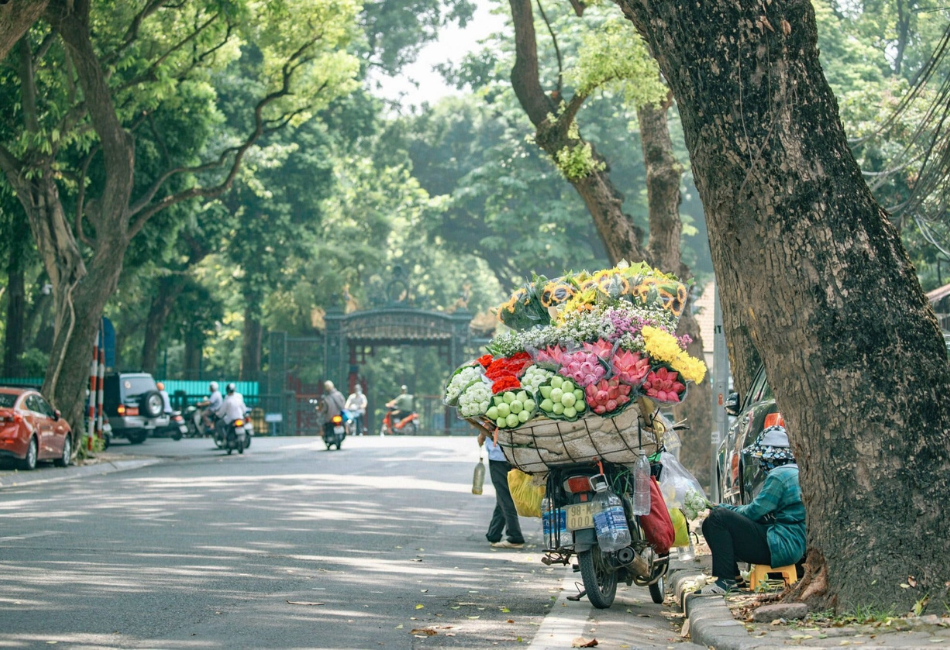 best things to do in ha noi